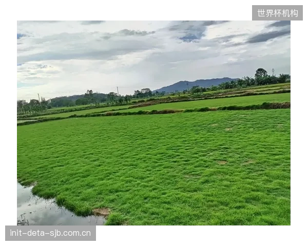 南非队第二场比赛场地为人工草皮，球员需适应与天然草皮不同的球速和弹跳，避免非战斗性减员。